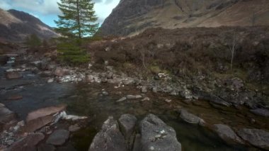 Küçük, kayalık bir nehir ve kıyıda büyüyen bir ladin. Kamera hareketli bir video. Glencoe Dağı, İskoçya, Birleşik Krallık