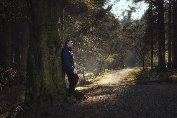 Ein Mann Lehnt Wald Einem Baum Das Sonnenlicht Scheint Auf — Stockfoto