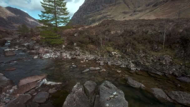 小さな山の岩の川とトウヒの銀行に成長した パンニングカメラの動きとビデオ イギリス スコットランド グレーン山 — ストック動画