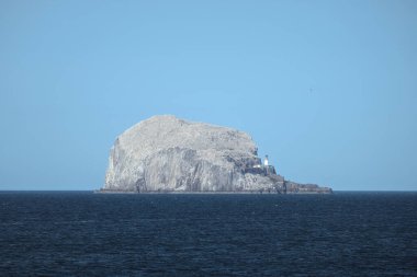 İskoçya 'nın doğusundaki Firth of Forth' taki Bass Rock adası ve deniz feneri. Bass Rock, İskoçya, Birleşik Krallık