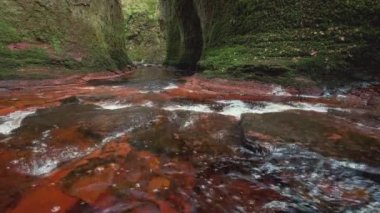 Devils Minber geçidinde bir nehir. 4k video. Finnich Glen, İskoçya, İngiltere