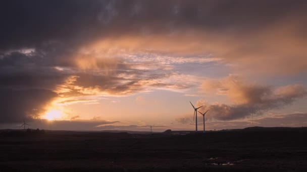 Video Nori Mișcare Apusul Soarelui Câmp Turbine Eoliene Pentru Genera — Videoclip de stoc