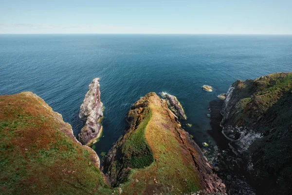 Scottish Seashore Cliffs Abbs Head National Nature Reserve Berwickshire Coastline — Stockfoto