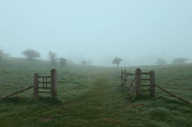 Kırsalda ahşap bir kapı ve sisle kaplı bir tarla. Beecraigs Country Park, İskoçya. Yüksek kalite fotoğraf