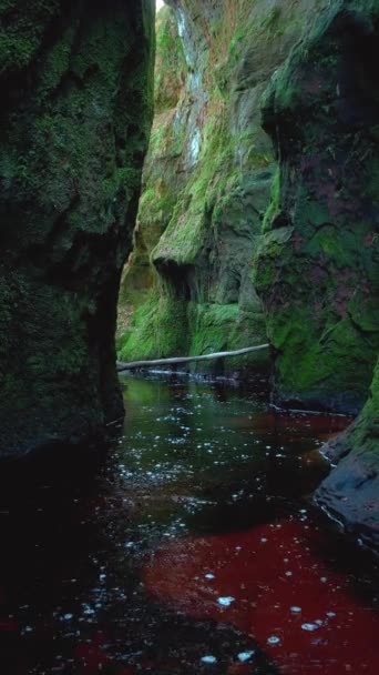 Gorge Coberto Musgo Com Pequeno Rio Água Vermelha Dentro Desfiladeiro — Vídeo de Stock