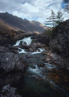 Kayalık Nehir Koyu 'nda şelale ve bir çam ağacı. Glencoe Dağı, İskoçya, Birleşik Krallık