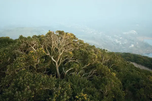 Güneşli bir günde, sisli ya da soğuk deniz sisi altında, kasabanın aşağısındaki Arthurs Koltuğu 'nda kefenler. Edinburgh, İskoçya, Birleşik Krallık