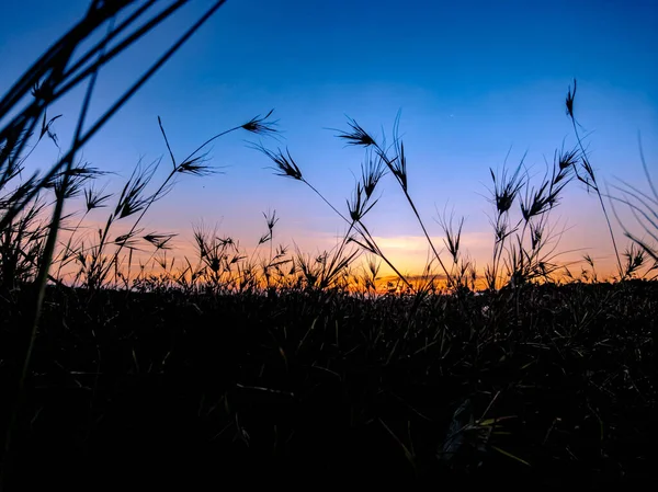 Sun Rises Wide Meadow — стоковое фото