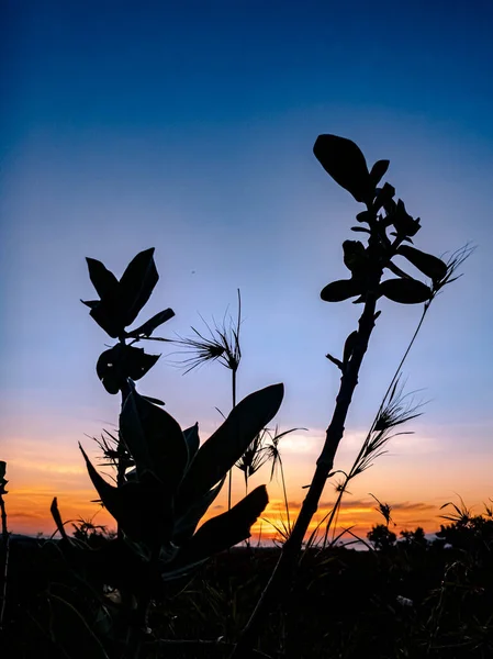 Sun Rises Broad Meadow — Stock Photo, Image