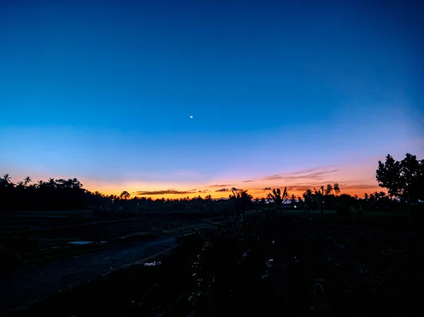Sunrise Morning Village Middle Rice Fields — Stock Photo, Image