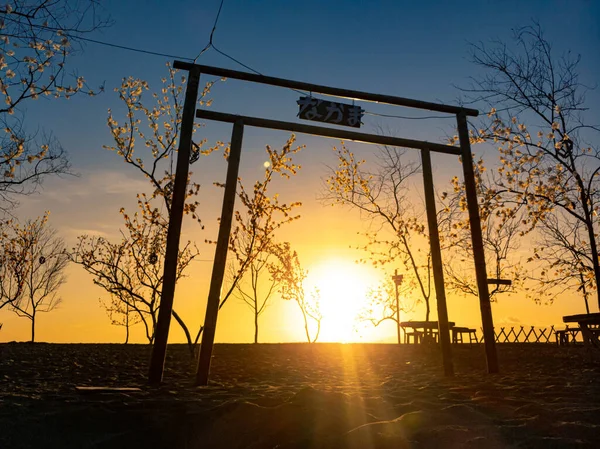 Baumsilhouette Mit Sonnenaufgang Morgen — Stockfoto