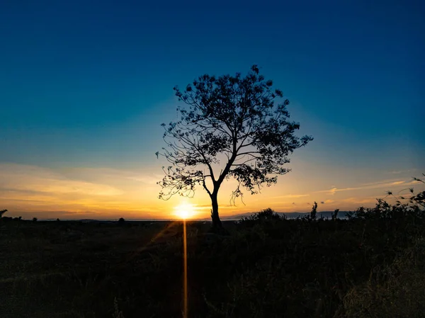 Silhueta Árvore Com Nascer Sol Pela Manhã — Fotografia de Stock