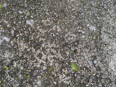 worn and old wall texture, natural stock photo.