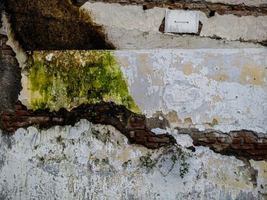 worn and old wall texture, natural stock photo.