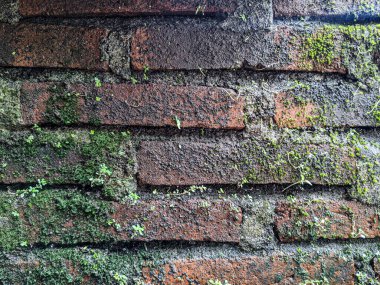 worn and old wall texture, natural stock photo.