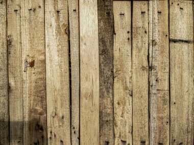 Highly Detailed Wood Texture or Background Stock Photo for Creative Professionals.