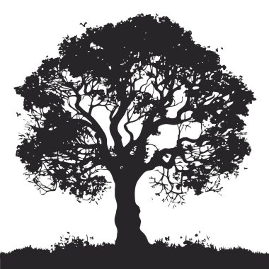 Yaz aylarında izole edilmiş beyaz arka planda büyük ağaç silueti