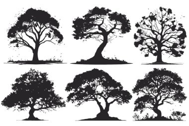 collection of big tree silhouettes in summer on isolated white background clipart