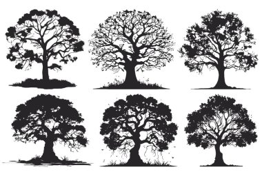 Yaz aylarında izole edilmiş beyaz arkaplanda büyük ağaç siluetleri koleksiyonu