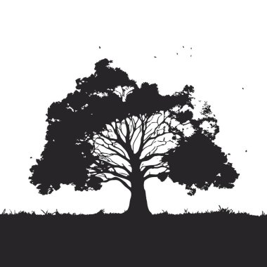 Yaz aylarında izole edilmiş beyaz arka planda büyük ağaç silueti