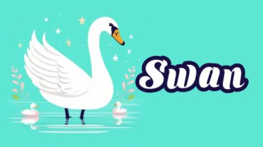 Hayvan isimlerine eğitici animasyon, video hayvan 4k çözünürlüğü.