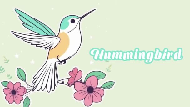 Animación Educativa Introducción Nombres Animales Resolución Video Animal — Vídeos de Stock