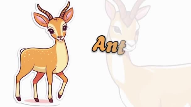 Hayvan Isimlerine Eğitici Animasyon Video Hayvan Çözünürlüğü — Stok video