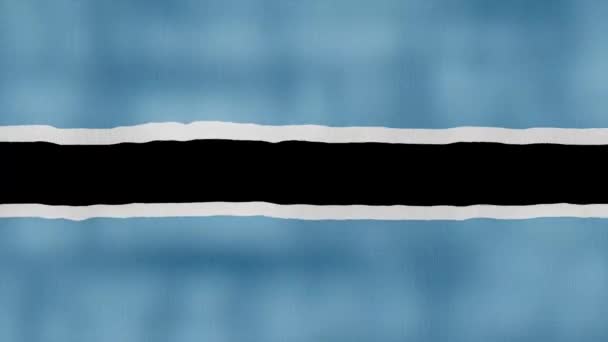 博茨瓦纳国旗挥布完美回圈 全屏动画4K解析度 Mp4 — 图库视频影像