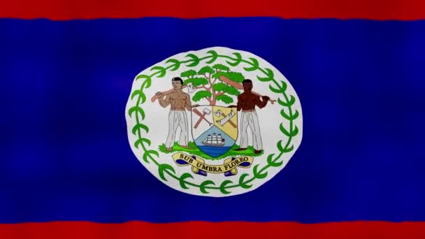 Belize Flag Waving Cloth Perfect Looping Full Screen Animation Resolution — Stock Video