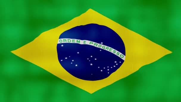Paño Ondeante Bandera Brasil Perfect Looping Animación Pantalla Completa Resolution — Vídeos de Stock