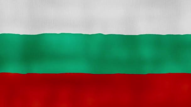 保加利亚国旗挥布完美环线 全屏动画4K解析度 Mp4 — 图库视频影像