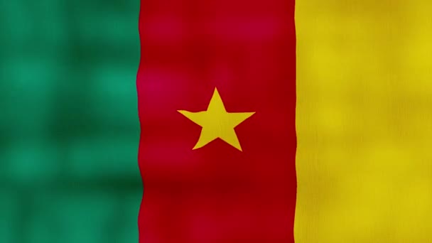 Флаг Камеруна Ткань Perfect Looping Полноэкранная Анимация Mp4 — стоковое видео