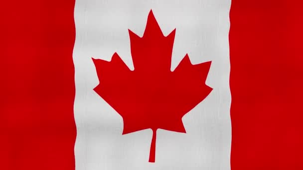 Kanada Flagge Schwenkendes Tuch Perfect Looping Vollbild Animation Auflösung Mp4 — Stockvideo
