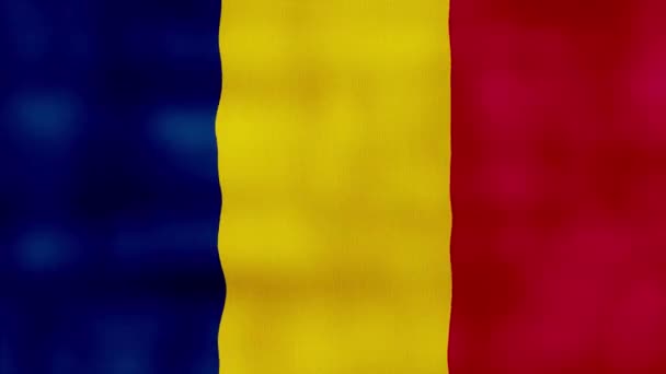 Bandera Chad Ondeando Paño Perfect Looping Animación Pantalla Completa Resolution — Vídeo de stock