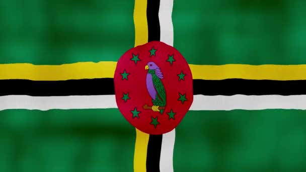 Dominica Flagge Schwenkende Tuch Perfekte Looping Vollbild Animation Auflösung Mp4 — Stockvideo
