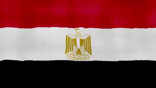 Paño Ondeante Bandera Egipto Perfect Looping Animación Pantalla Completa Resolution — Vídeo de stock