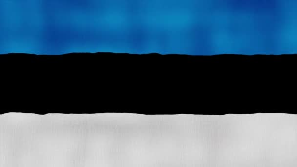 Прапор Естонії Махає Тканиною Perfect Looping Повний Екран Анімації Resolution — стокове відео