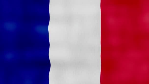 Frankrike Flagga Viftande Duk Perfekt Looping Helskärmanimation Resolution Mp4 — Stockvideo
