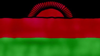 Malawi bayrağı dalgalanan kumaş mükemmel döngü, tam ekran animasyon 4K Çözünürlük mp4