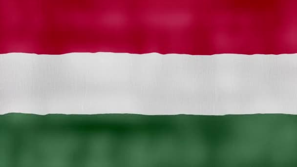 匈牙利国旗挥布完美环线 全屏动画4K解析度 Mp4 — 图库视频影像