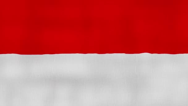 Indonesien Flagge Schwenkende Tuch Perfekte Looping Vollbild Animation Auflösung Mp4 — Stockvideo