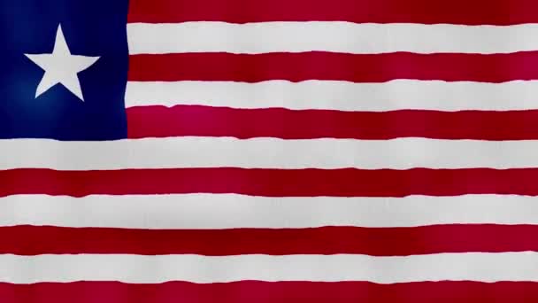 Flaga Liberii Tkanina Machająca Doskonałe Pętli Pełny Ekran Animacji Resolution — Wideo stockowe