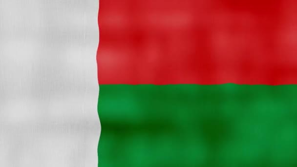 马达加斯加国旗挥布完美环线 全屏动画4K分辨率 Mp4 — 图库视频影像