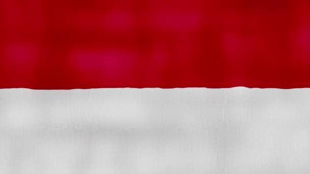 Bandera Mónaco Ondeando Tela Perfect Looping Animación Pantalla Completa Resolution — Vídeo de stock