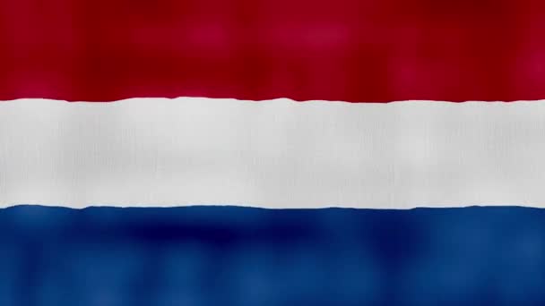 Bendera Belanda Melambaikan Kain Perfect Looping Animasi Layar Penuh Resolution — Stok Video