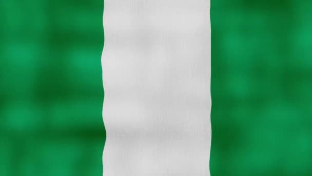 Nigeria Vlag Zwaaien Doek Perfect Looping Full Screen Animatie Resolutie — Stockvideo