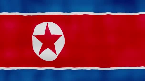 North Korea Flag Waving Cloth Perfect Looping Full Screen Animation — Stock Video