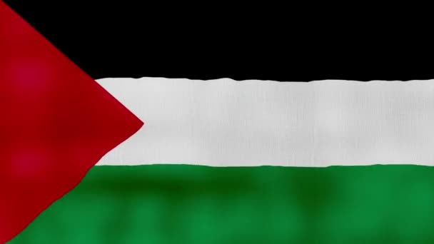 パレスチナの旗は布を振ります 完璧なループ フルスクリーンアニメーション4K解像度 Mp4 — ストック動画