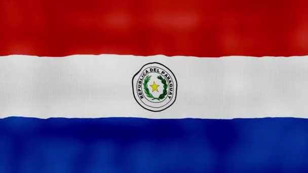 Paraguay Flagge Schwenkende Tuch Perfekte Looping Vollbild Animation Auflösung Mp4 — Stockvideo