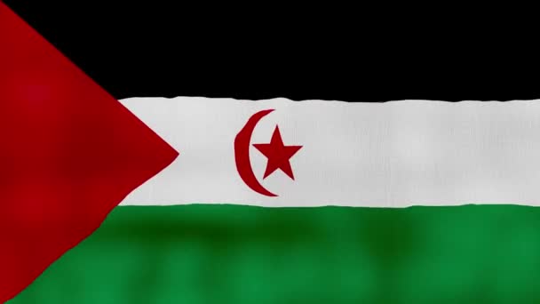 阿拉伯撒哈拉民主共和国国旗挥动布线完美 全屏动画4K解像度Mp4 — 图库视频影像
